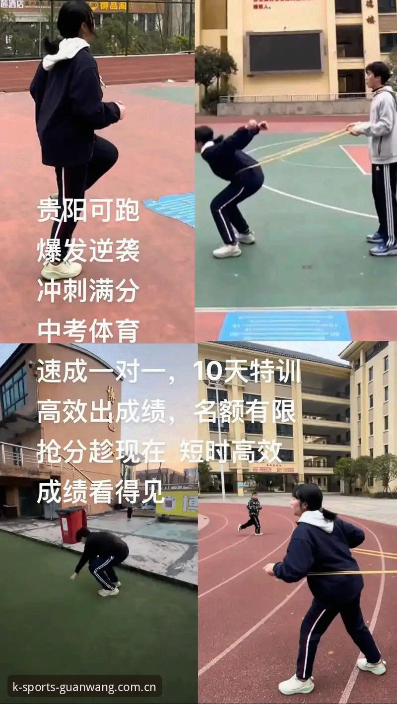K体育平台实时数据获取实用指南：从下载到高效使用